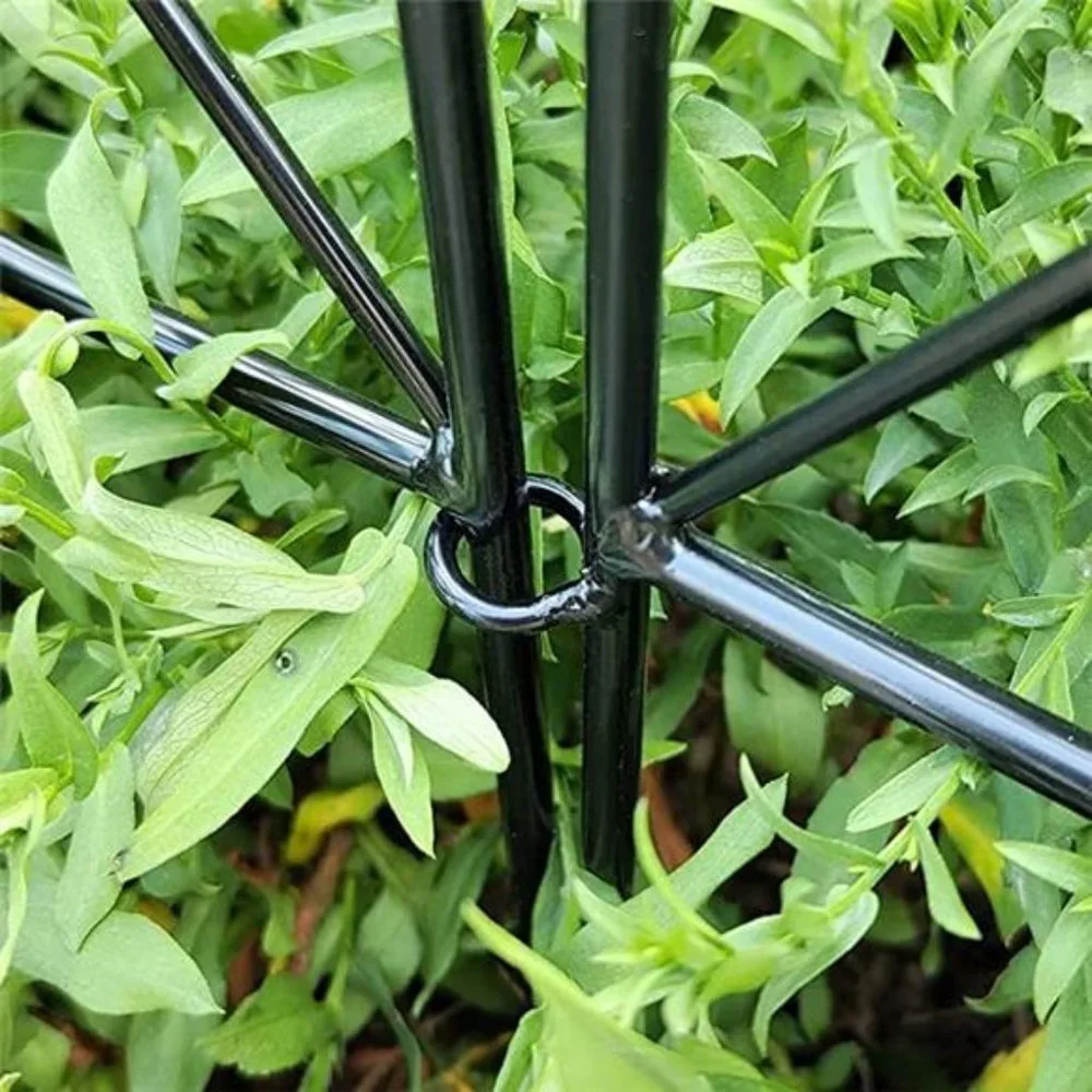 Decorative Garden Fence 24 in (H) x 10 ft (L), Outdoor Rustproof Metal